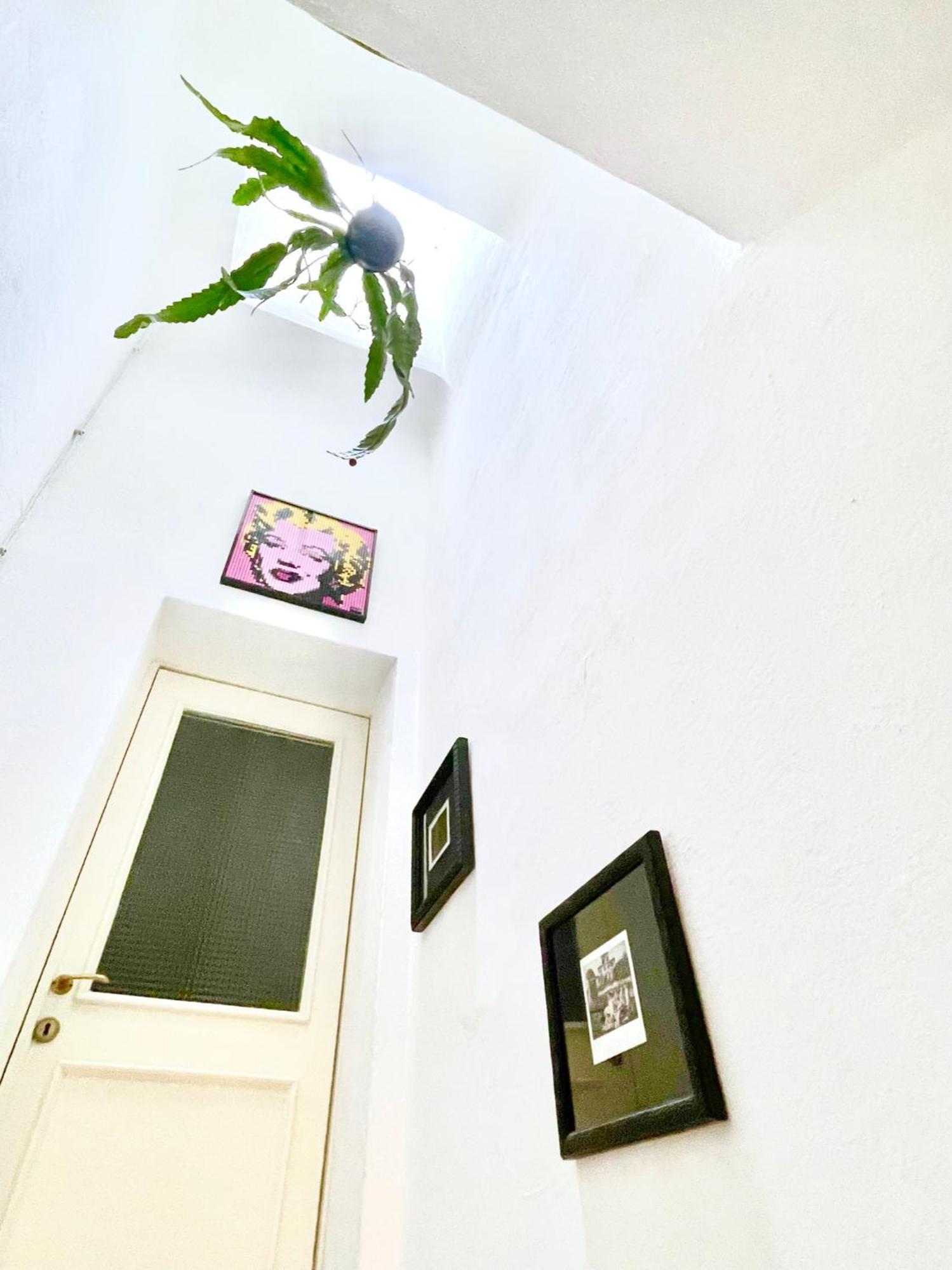 La Casa Del Pesce - Within The Historical Walls Of Lucca Exterior photo